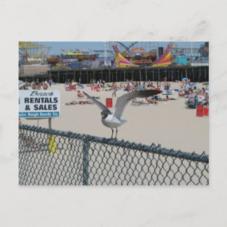 Carte Postale Shore Thing