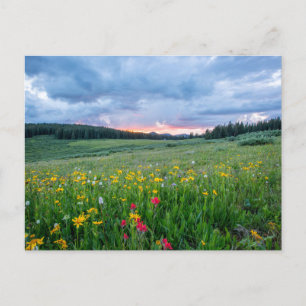 Carte Postale Shrine Pass Road, Red Cliff, États-Unis