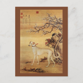 Carte Postale Shuanghuayao~霜 鹞 花 ~ Greyhound ~Giuseppe Castiglio
