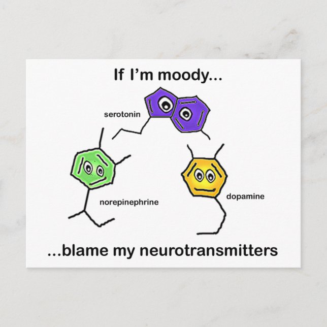 Carte Postale Si je suis Moody... (Devant)