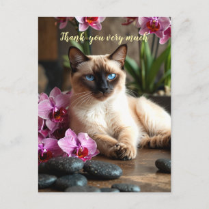 Carte Postale Siamese Chat en Spa merci beaucoup