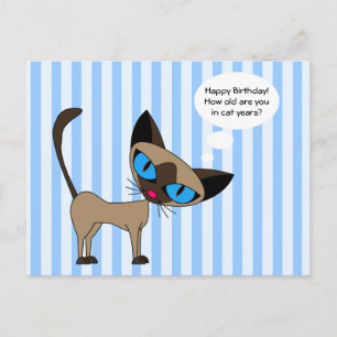 Carte Postale Siamese - Joyeux Anniversaire de Chat Années - Car