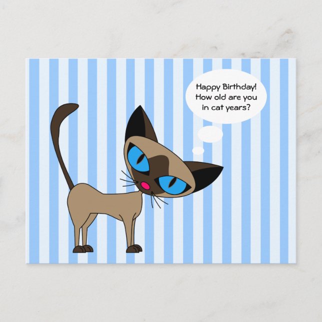Carte Postale Siamese - Joyeux Anniversaire de Chat Années - Car (Devant)