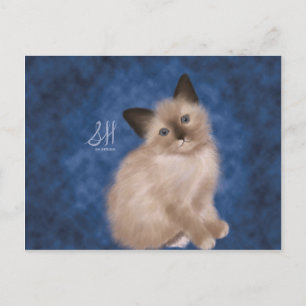 Carte Postale Siamese Kitten