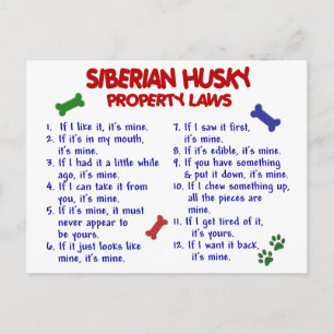 Carte Postale SIBÉRIAN HUSKY Lois immobilières 2