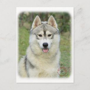 Carte Postale Sibérie Husky 9L69D-14