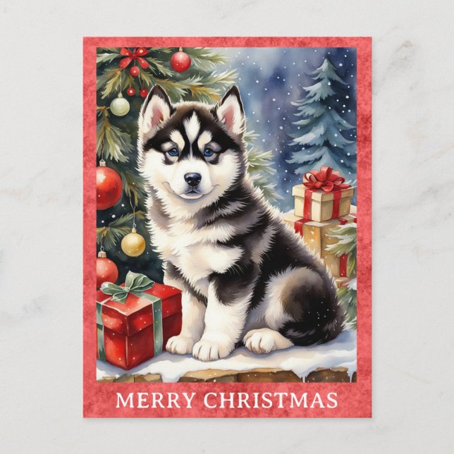 Carte Postale Sibérie Husky Joyeux Noël mignon Chien Chien Chien (Devant)
