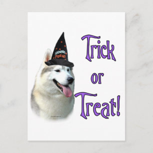 Carte Postale Sibérie Husky Trick