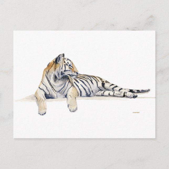 Carte Postale Sibérien / Bengale Tiger (Devant)