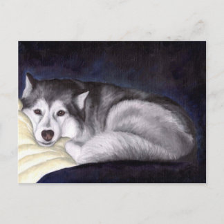 Carte Postale Sibérien Husky