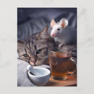 Carte Postale Sick Kitty Repose Dans Le Lit