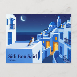 Carte Postale Sidi Bou Said Tunisie