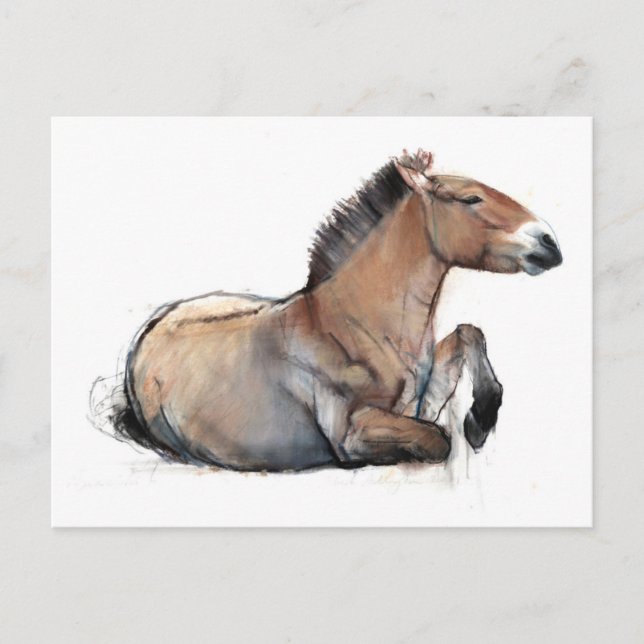 Carte Postale Siège Przewalski 2011 (Devant)
