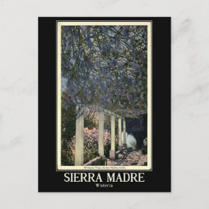 Carte Postale Sierra Madre, Californie, Vintage
