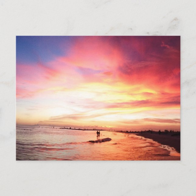 Carte Postale Siesta Key Florida, Nuit d'été, coucher du soleil (Devant)
