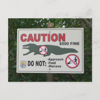Carte postale Signal Alligators de prudence