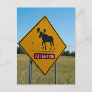 Carte Postale Signal d'avertissement de l'orignal