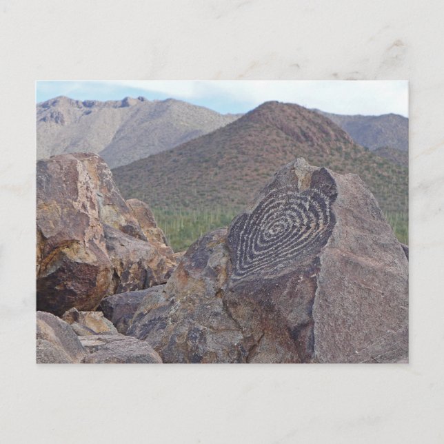 Carte Postale Signal Hill Petroglyph - Saguaro NP - Arizona (Devant)