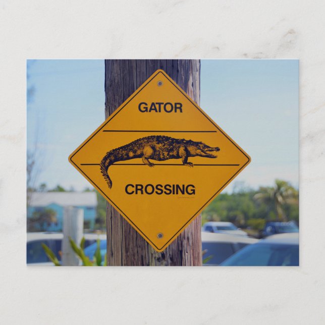 Carte Postale Signe de franchissement de l'ascenseur, Floride Ph (Devant)