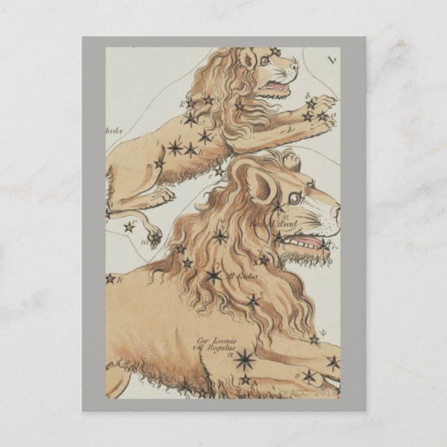 Carte Postale SIGNE LÉO Zodiaque (Devant)