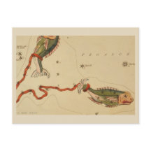 SIGNE Zodiaque Pisces