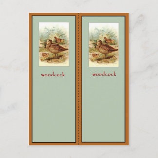 Carte Postale Signet américain Woodcock