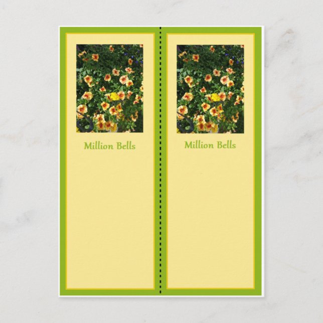 Carte postale Signet Million Bells (Devant)
