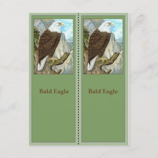 Carte Postale Signets d'oiseaux d'aigle à tête blanche