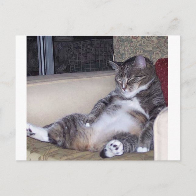 Carte Postale S'il a besoin d'un pantalon ou d'un soutien-gorge. (Devant)