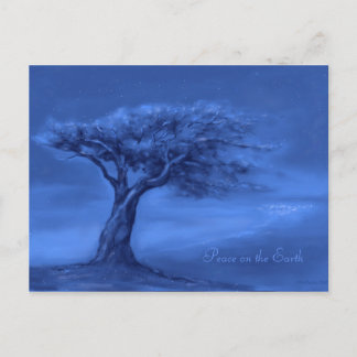 Carte postale Silence Night