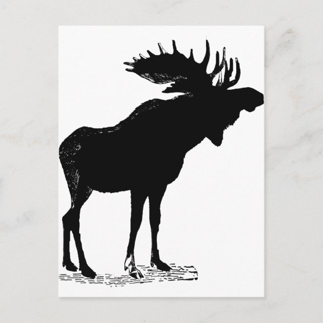 Carte Postale Silhouette (Devant)