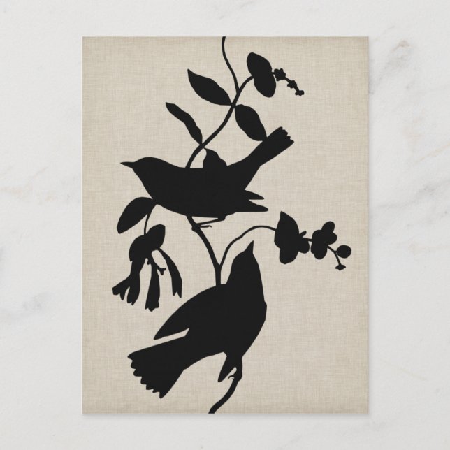 Carte Postale Silhouette Audubon IV (Devant)
