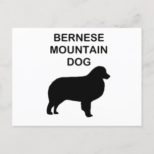 Carte Postale silhouette bernaise de chien de montagne