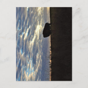 Carte postale Silhouette Bison