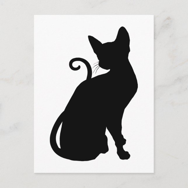 Carte Postale Silhouette de chat (Devant)