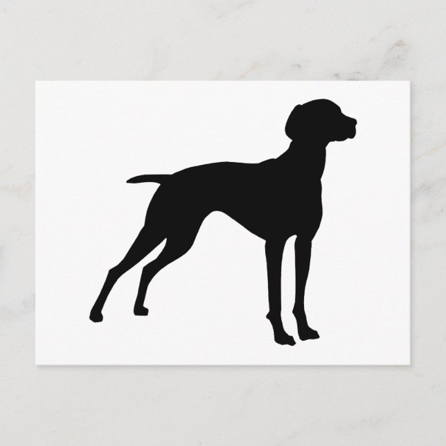 Carte Postale Silhouette de chien Vizsla (noir) (Devant)