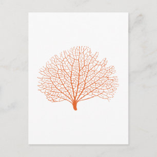 Carte Postale silhouette de corail