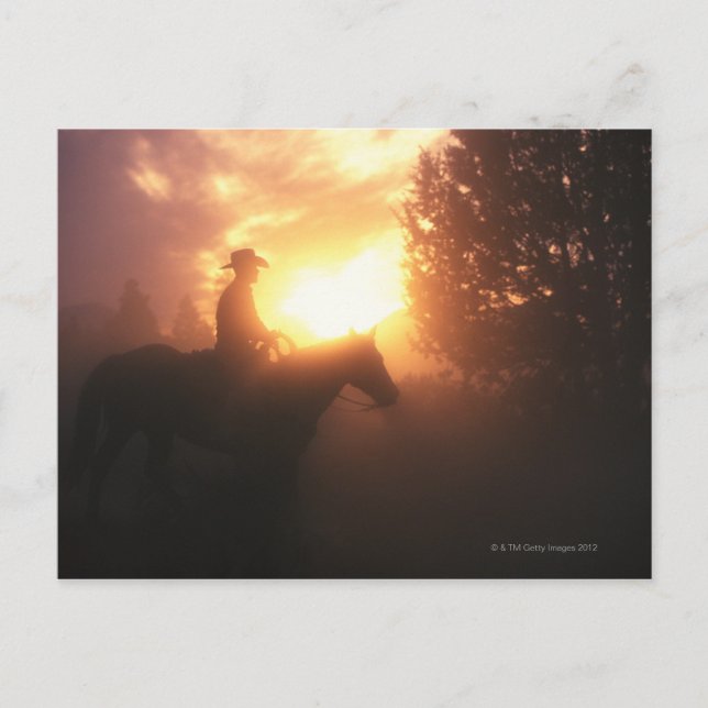 Carte Postale Silhouette de cowboy sur un cheval (Devant)