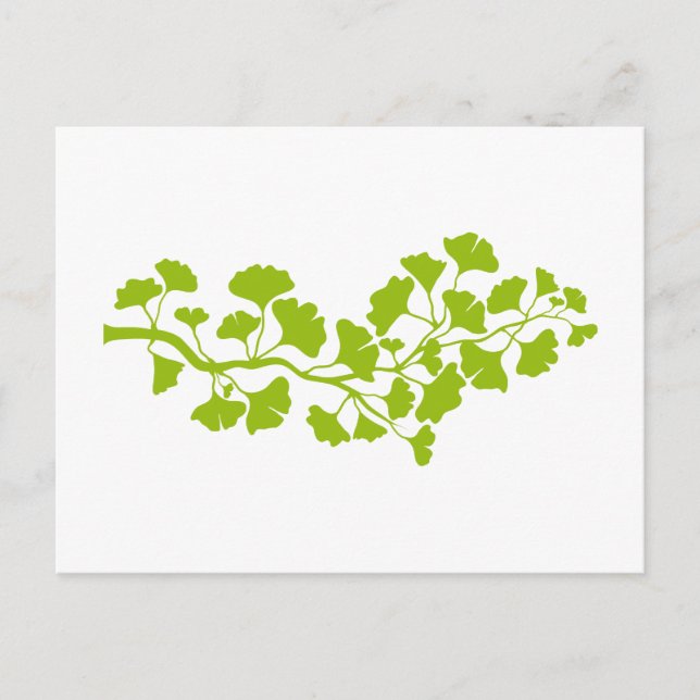 Carte Postale silhouette de ginkgo avec feuilles verts (Devant)