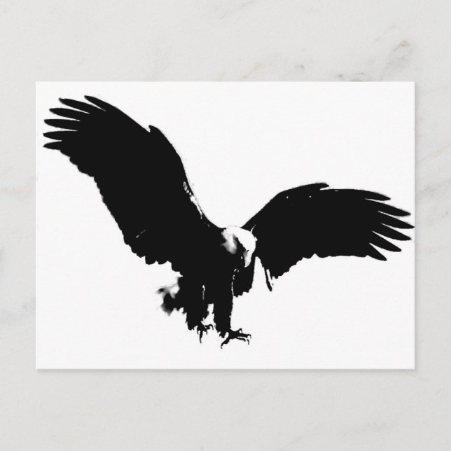 Carte Postale Silhouette de l'aigle chauve (Devant)