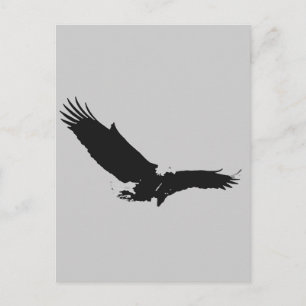 Carte Postale Silhouette de l'aigle d'atterrissage