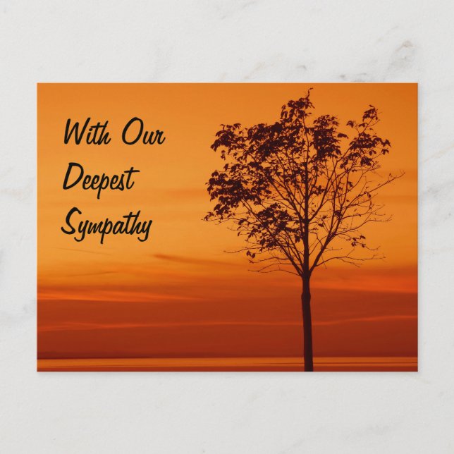 Carte Postale Silhouette de l'arbre dans la Sympathie du coucher (Devant)