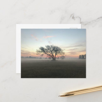 Carte Postale Silhouette de l'arbre dans le champ humide