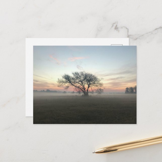 Carte Postale Silhouette de l'arbre dans le champ humide (Devant/Arrière en situation)