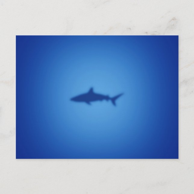 Carte Postale Silhouette de requin (Devant)