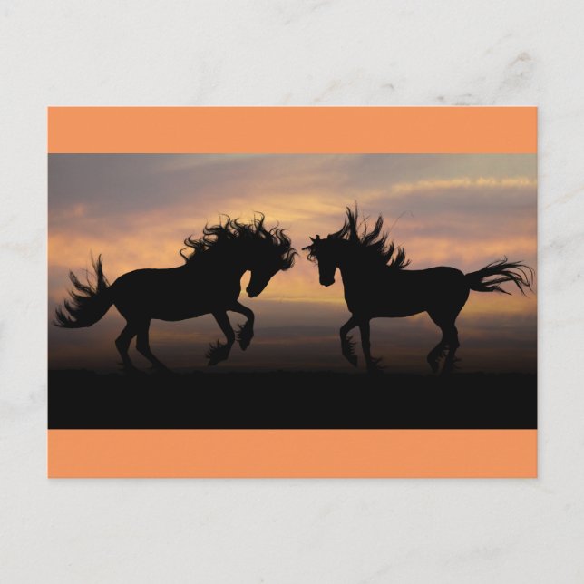 Carte Postale Silhouette des chevaux sauvages (Devant)