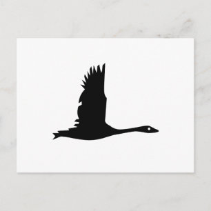 Carte Postale Silhouette d'oie en noir sur blanc