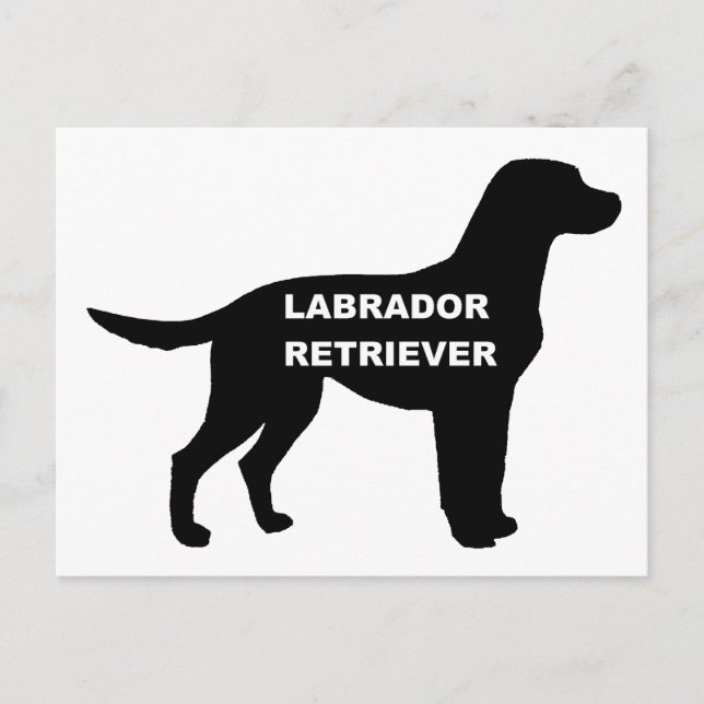 Carte Postale silhouette du nom du labrador (Devant)