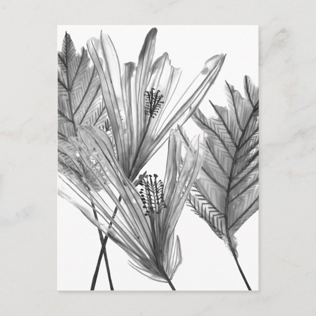 Carte Postale Silhouette florale - Gris (Devant)