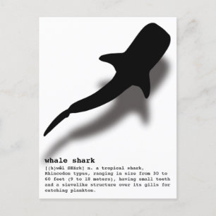 Carte Postale Silhouette requin baleine avec Definition Beach